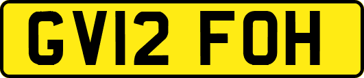 GV12FOH