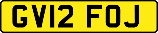GV12FOJ