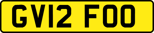 GV12FOO