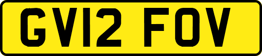 GV12FOV
