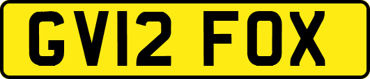 GV12FOX