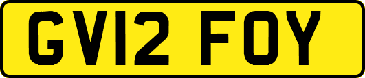 GV12FOY