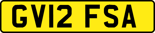 GV12FSA