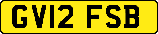 GV12FSB