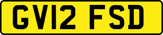 GV12FSD