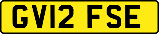 GV12FSE