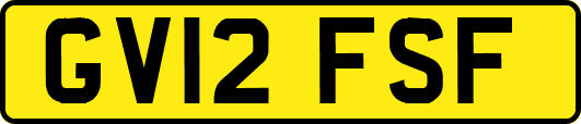 GV12FSF