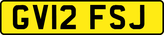 GV12FSJ