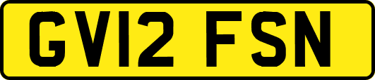 GV12FSN