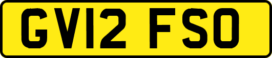 GV12FSO