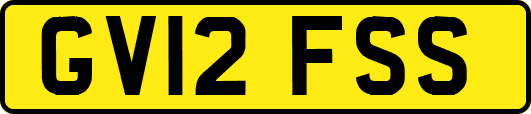 GV12FSS