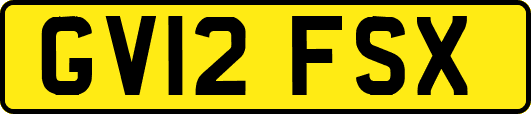 GV12FSX