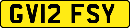 GV12FSY