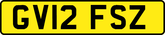 GV12FSZ
