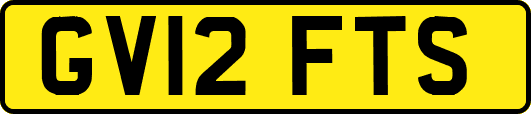 GV12FTS
