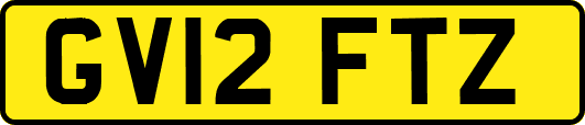 GV12FTZ