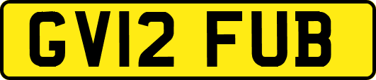 GV12FUB