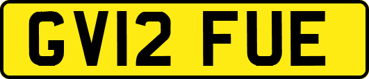 GV12FUE