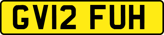 GV12FUH