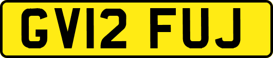 GV12FUJ