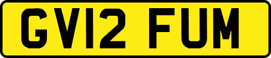 GV12FUM