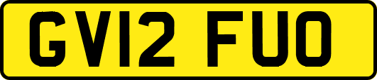 GV12FUO