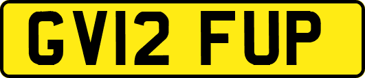 GV12FUP