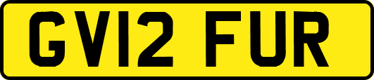 GV12FUR