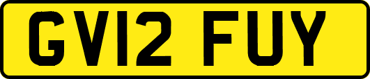 GV12FUY