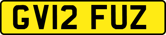 GV12FUZ