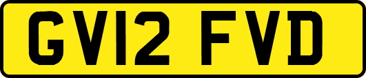 GV12FVD