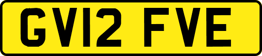 GV12FVE