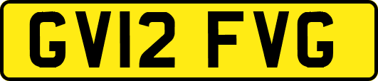GV12FVG