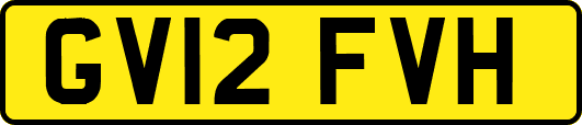 GV12FVH