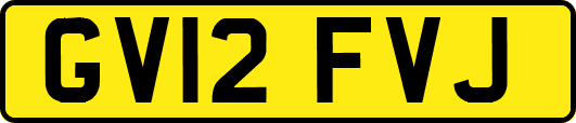 GV12FVJ
