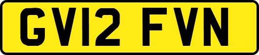 GV12FVN
