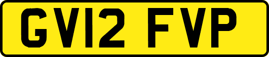GV12FVP