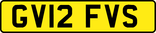 GV12FVS