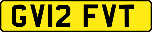 GV12FVT