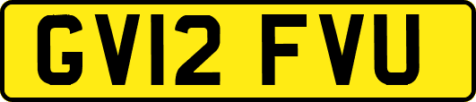 GV12FVU