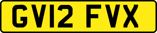 GV12FVX