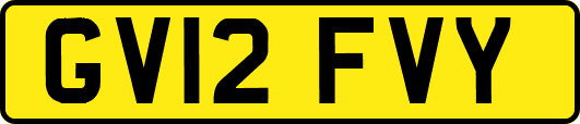 GV12FVY