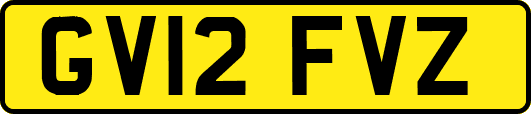GV12FVZ