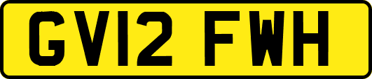 GV12FWH