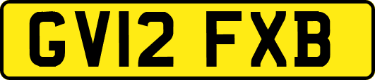 GV12FXB