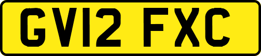 GV12FXC