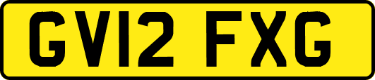 GV12FXG