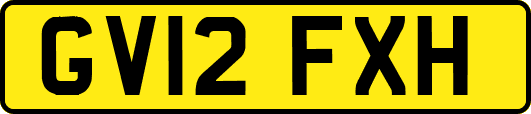 GV12FXH