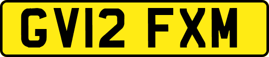 GV12FXM
