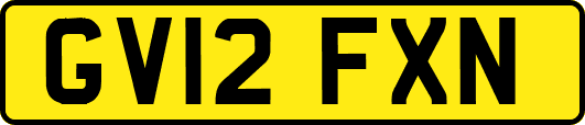 GV12FXN